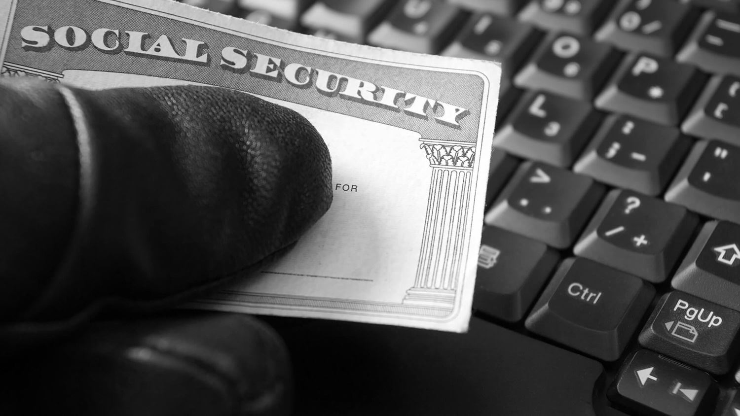 social security card information
